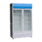 6.2A Glass Door Commercial Freezer R290 GAS Merchandising Refrigerator